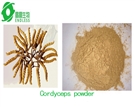 Cordyceps powder