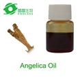 Angelica Oil